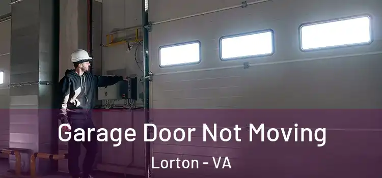  Garage Door Not Moving Lorton - VA