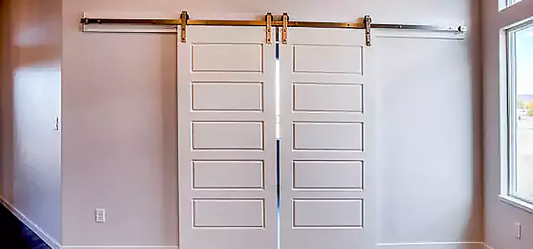 Glass Barn Door with Installation Hardware Kit Lorton