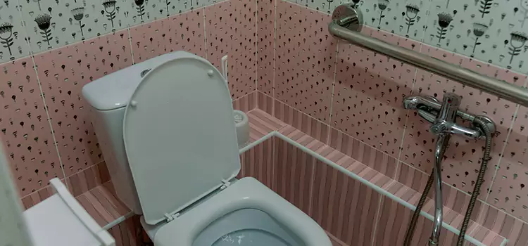 Meeting Diverse Needs With Accessible Restroom Solutions in Lorton, VA