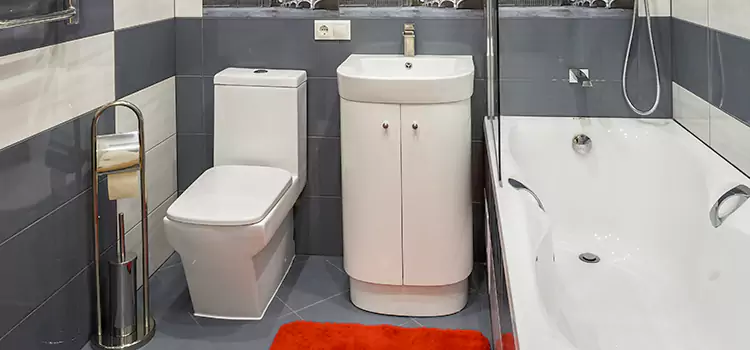 Hansgrohe Shaving Mirror Lorton