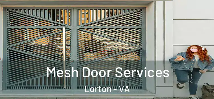  Mesh Door Services Lorton - VA